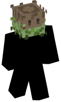 Skinfile