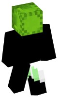 Skinfile