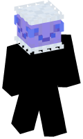 Skinfile