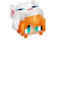 Skinfile