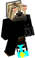 Skinfile