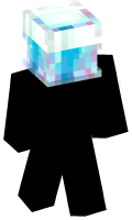 Skinfile