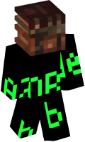 Skinfile