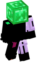 Skinfile