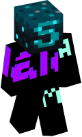 Skinfile