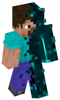 Skinfile