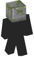 Skinfile