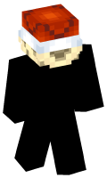 Skinfile