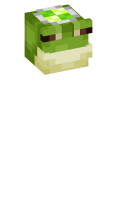 Skinfile