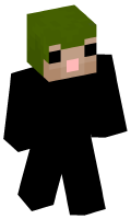 Skinfile