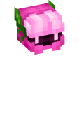 Skinfile