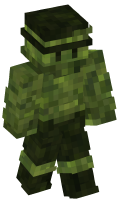 Skinfile