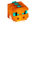 Skinfile