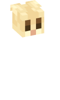 Skinfile
