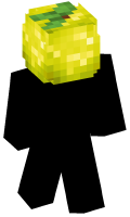 Skinfile