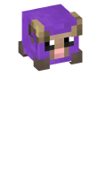 Skinfile