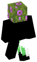 Skinfile