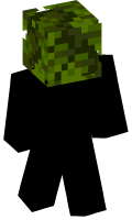 Skinfile