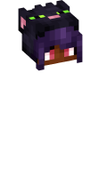 Skinfile