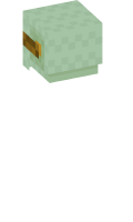 Skinfile