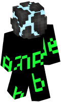 Skinfile