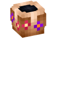 Skinfile