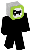 Skinfile
