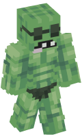 Skinfile