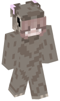 Skinfile
