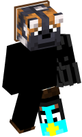 Skinfile