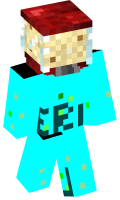 Skinfile
