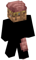 Skinfile