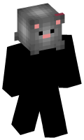Skinfile
