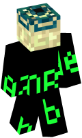 Skinfile