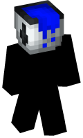 Skinfile