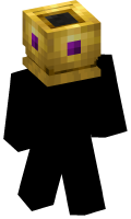 Skinfile