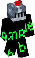 Skinfile