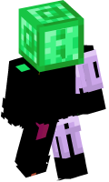 Skinfile