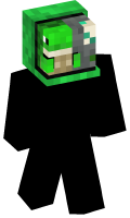 Skinfile