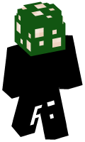 Skinfile