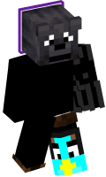 Skinfile