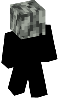 Skinfile