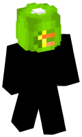 Skinfile