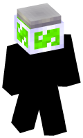 Skinfile