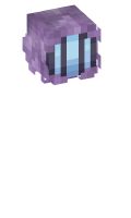 Skinfile