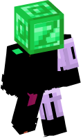 Skinfile