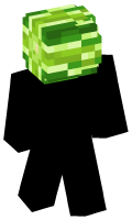 Skinfile