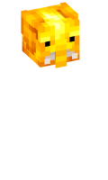 Skinfile