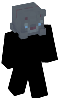 Skinfile