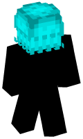 Skinfile